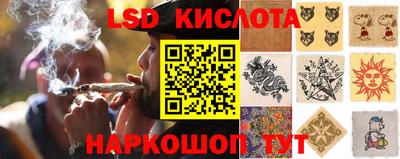 a pvp Обнинск
