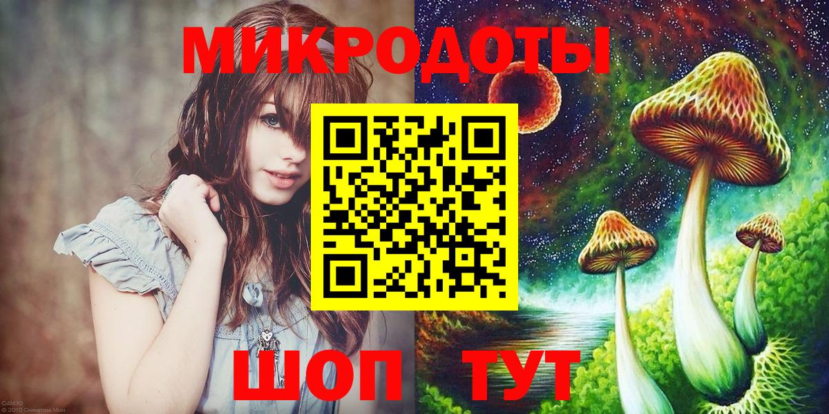 как найти   Вход с VPN  Советск  Галлюциногенные грибы прущие грибы 
